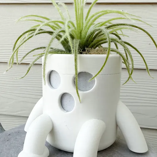 https://makerworld.bblmw.com/makerworld/model/DSM00000000527719/design/2024-07-06_820d999dec106.webp