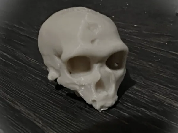 Crâne de Cro-Magnon décoratif