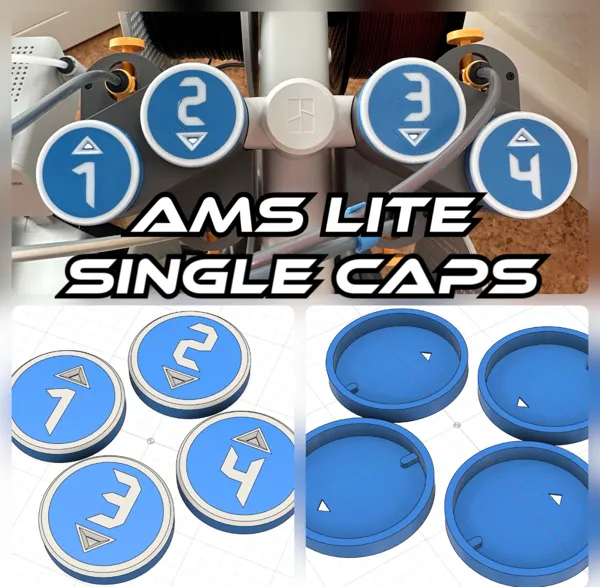 https://makerworld.bblmw.com/makerworld/model/DSM00000000529173/design/2024-07-07_c6b32730b411e.jpg