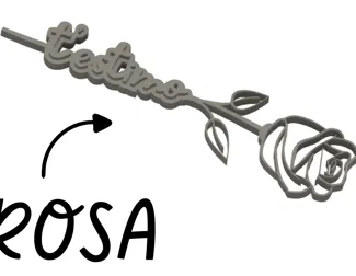 Rosa