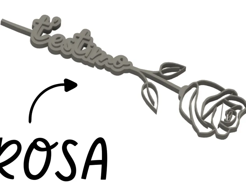 Rosa