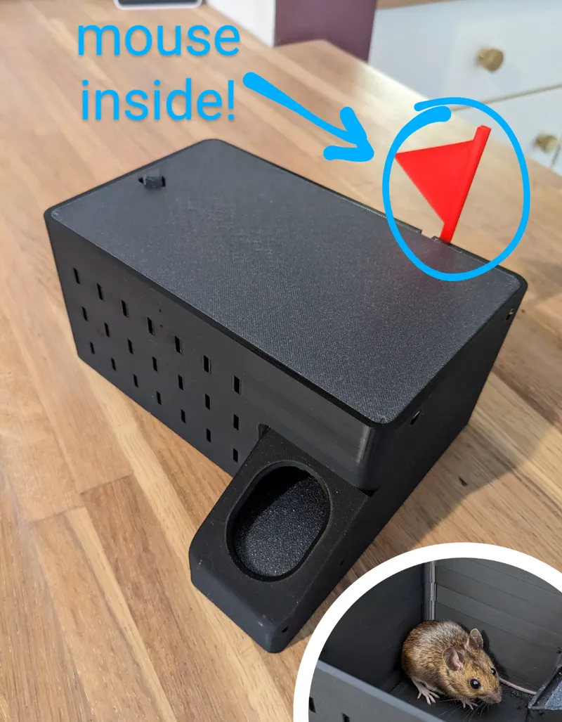 Live multi-catch mouse trap with catch indicator