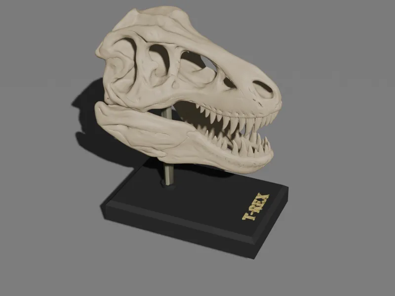 T-rex skull