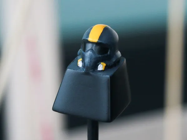 https://makerworld.bblmw.com/makerworld/model/DSM00000000531942/design/2024-07-08_b981cc6a43f2d.jpg