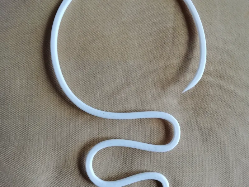 Snake necklace