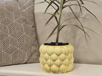 Abstract bubble plant pot with spiral