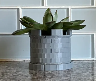 succulent castle pot