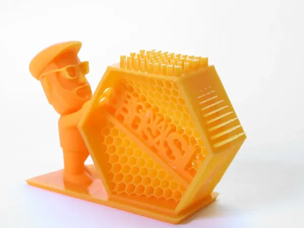 https://makerworld.bblmw.com/makerworld/model/DSM00000000533278/design/2024-07-09_032140a3cbf9a.webp