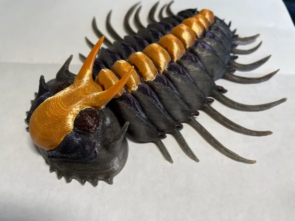 https://makerworld.bblmw.com/makerworld/model/DSM00000000533379/design/2024-07-09_2238b394b979e.jpg