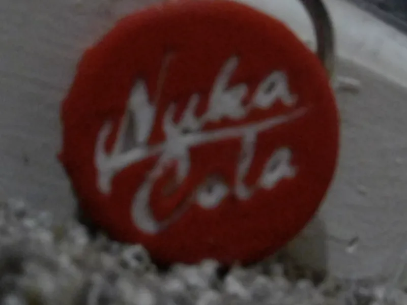 nuka cola cap
