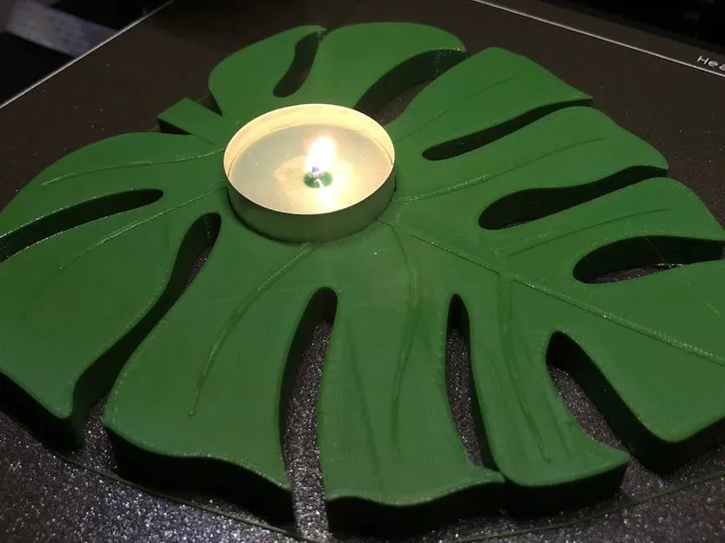 Candle leaf