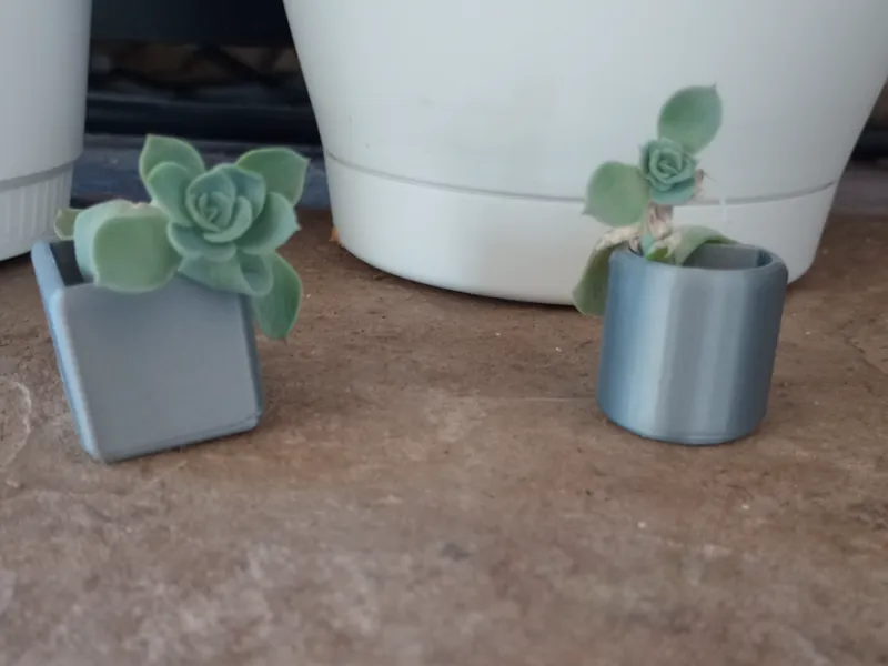 mini plant holder