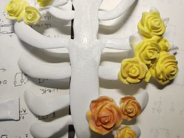 https://makerworld.bblmw.com/makerworld/model/DSM00000000535375/design/2024-07-11_420d6b596b294.jpg