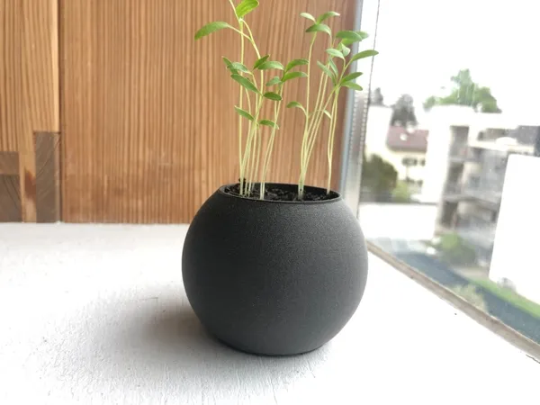 https://makerworld.bblmw.com/makerworld/model/DSM00000000536079/design/2024-07-12_fbvczkug2d6s.jpg