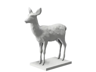 Cute Deer