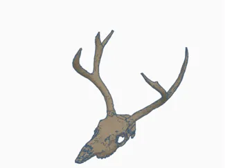 deer head