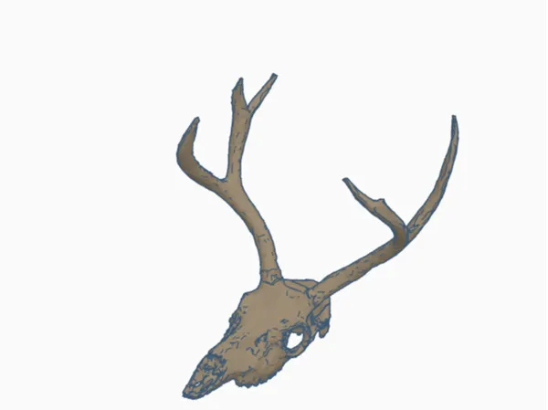 https://makerworld.bblmw.com/makerworld/model/DSM00000000537938/design/2024-07-12_06d150c38c62f.png