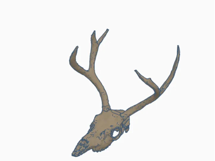 deer head