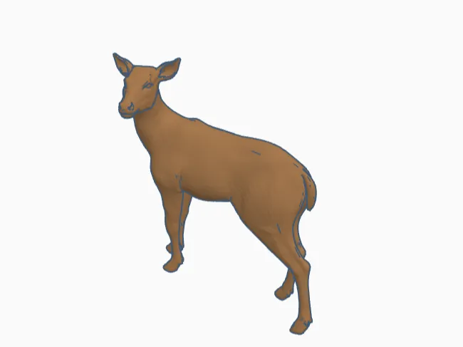 Doe deer