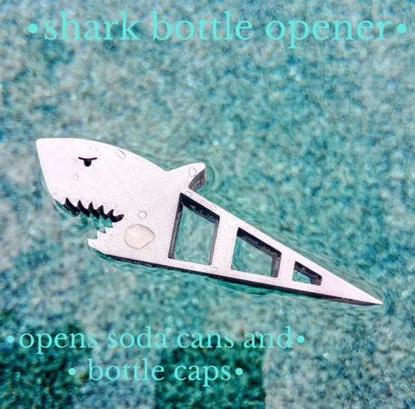 https://makerworld.bblmw.com/makerworld/model/DSM00000000539569/design/2024-07-13_4b71707dbc1c9.jpg