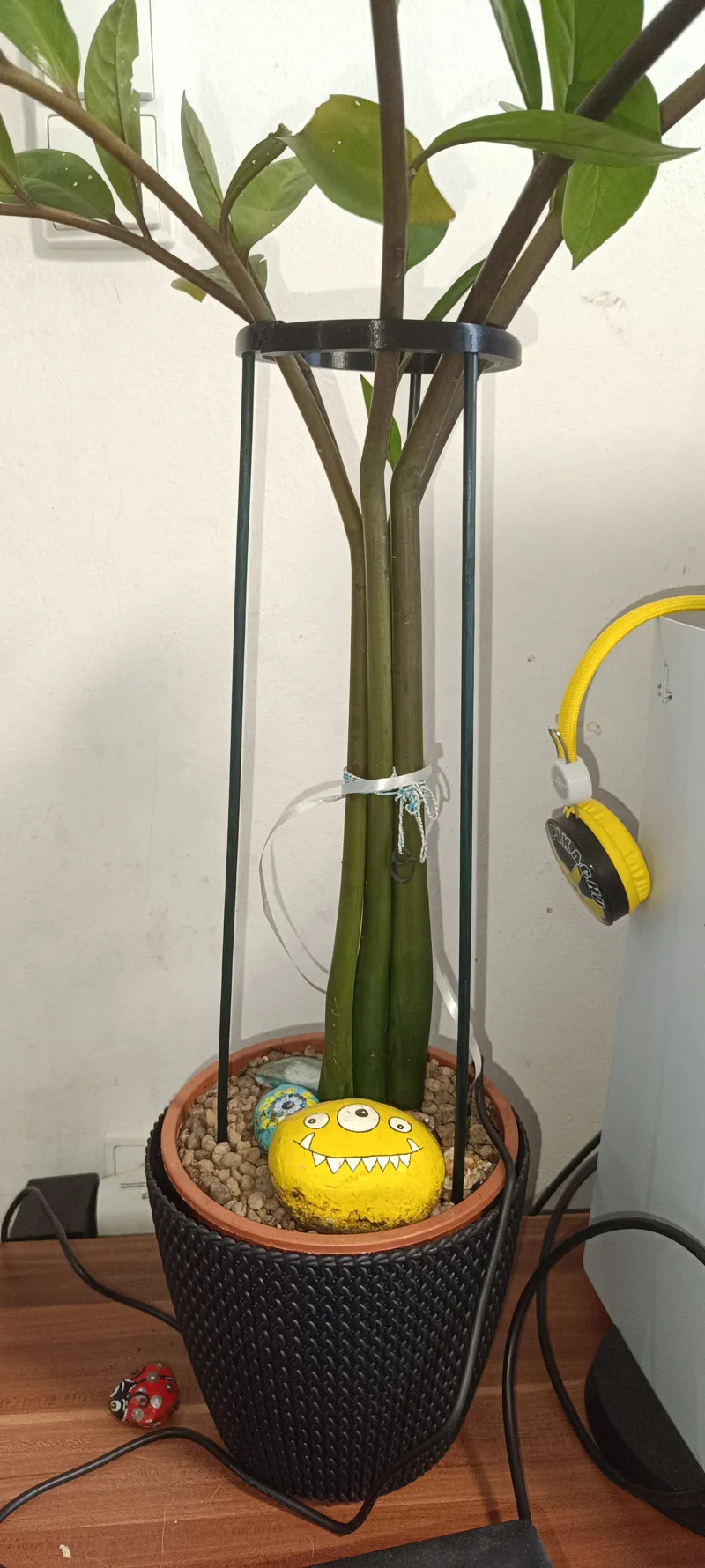 Holder Flower