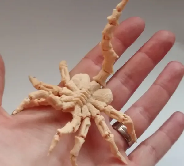 https://makerworld.bblmw.com/makerworld/model/DSM00000000541052/design/2024-07-15_6764f6b2b00b8.jpg