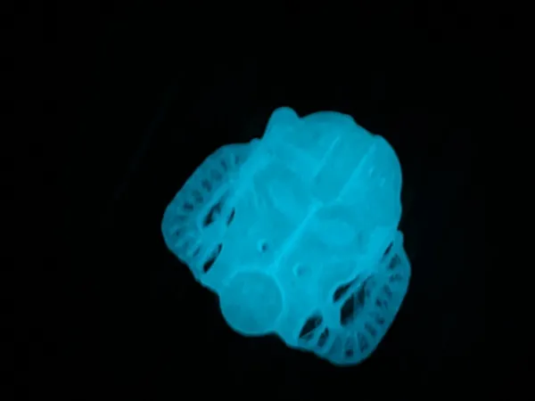 https://makerworld.bblmw.com/makerworld/model/DSM00000000541064/design/2024-07-15_604c61ac8f657.jpg