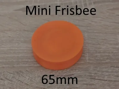 Mini Frissbee