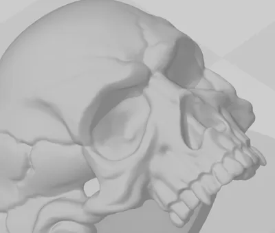 Skull-Ring Remix