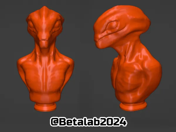 https://makerworld.bblmw.com/makerworld/model/DSM00000000543112/design/2024-07-16_0c79d3c958d9b.png