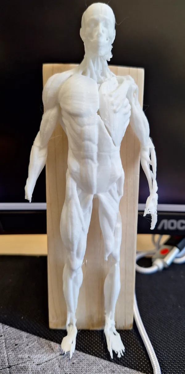 https://makerworld.bblmw.com/makerworld/model/DSM00000000543333/design/2024-07-16_15a9fedb9481d.jpg