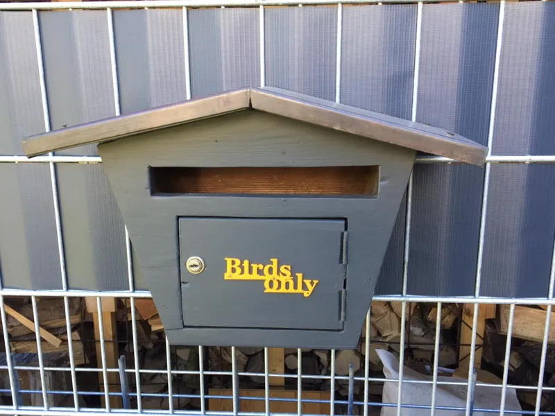 Bird house lettering