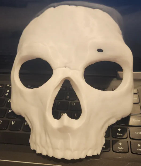 https://makerworld.bblmw.com/makerworld/model/DSM00000000545838/design/2024-07-17_1d538133bff01.jpg