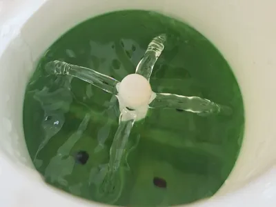 Self-Watering Spout Pot