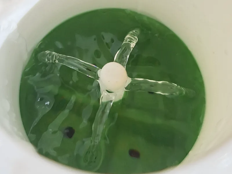 Self-Watering Spout Pot