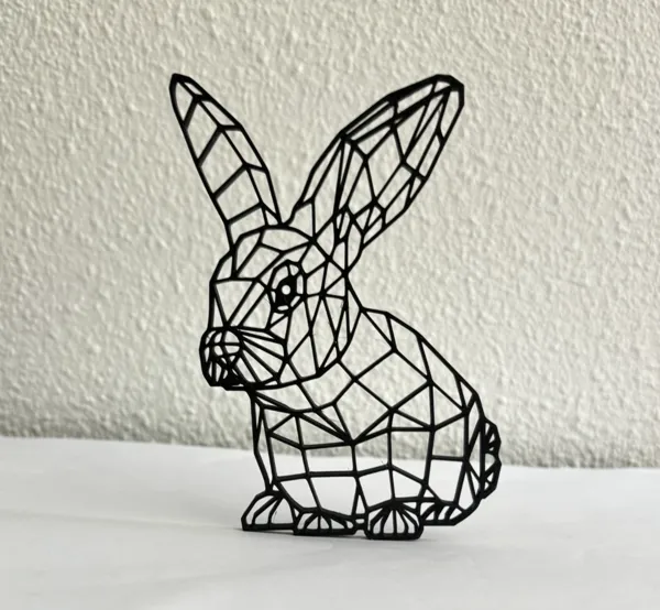 https://makerworld.bblmw.com/makerworld/model/DSM00000000546266/design/2024-07-18_1fff32aa935b8.jpeg