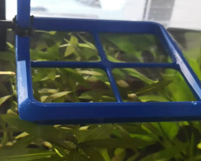FIsh Feeding Plate Auto Level