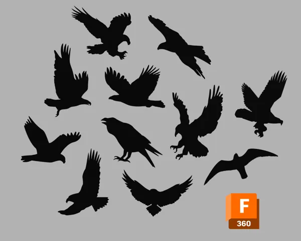 Collection de silhouettes d'oiseaux anti-collision