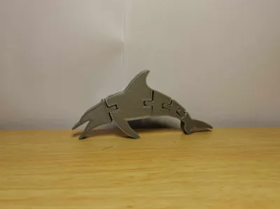 Flexi Dolfin