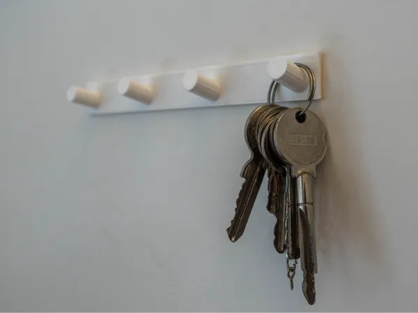 https://makerworld.bblmw.com/makerworld/model/DSM00000000552193/design/2024-07-22_337b044f03ab4.jpg