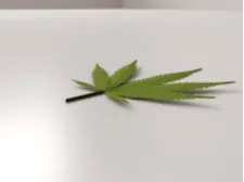 potleaf cookiecutter