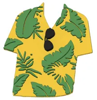 Chemise hawaïenne 2.5D — clin d'œil JDG — photo 1