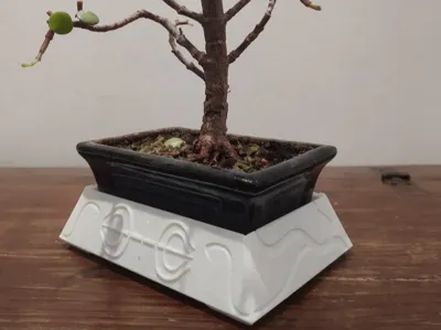 Senju Bonsai Saucer