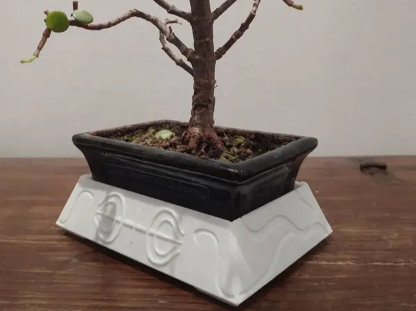 https://makerworld.bblmw.com/makerworld/model/DSM00000000559091/design/2024-07-27_f52f4019defa3.png