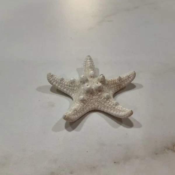 https://makerworld.bblmw.com/makerworld/model/DSM00000000560333/design/2024-07-28_cv9tlloa5zm9.jpeg