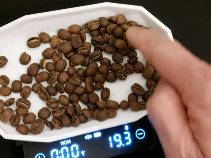 Low Poly Coffee Bean Tray