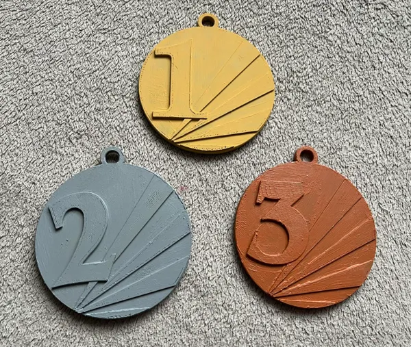 https://makerworld.bblmw.com/makerworld/model/DSM00000000560824/design/2024-07-28_a37780e4bc1e8.jpg