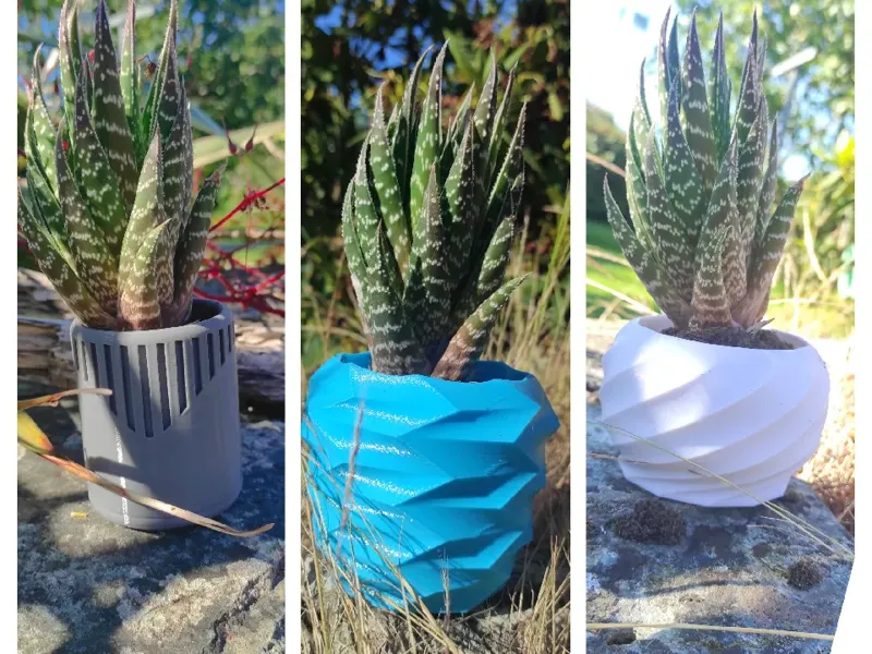 Pot de fleur