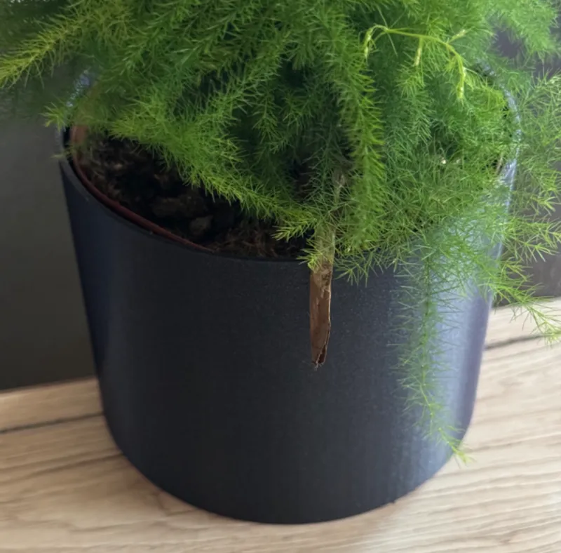 Blumenübertopf 12cm