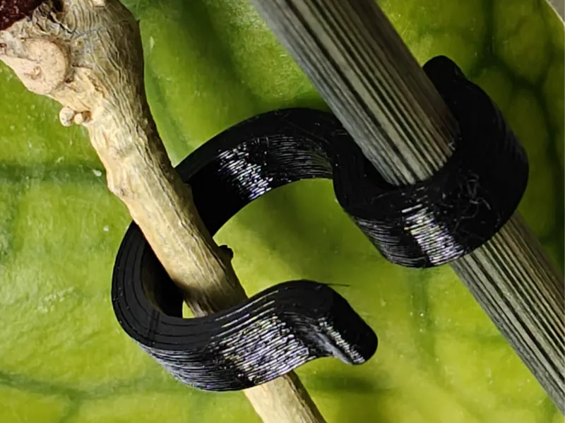 Plant hook